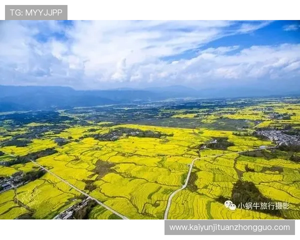 开云真人体育最新优惠活动详解助你轻松赢取丰厚奖金
